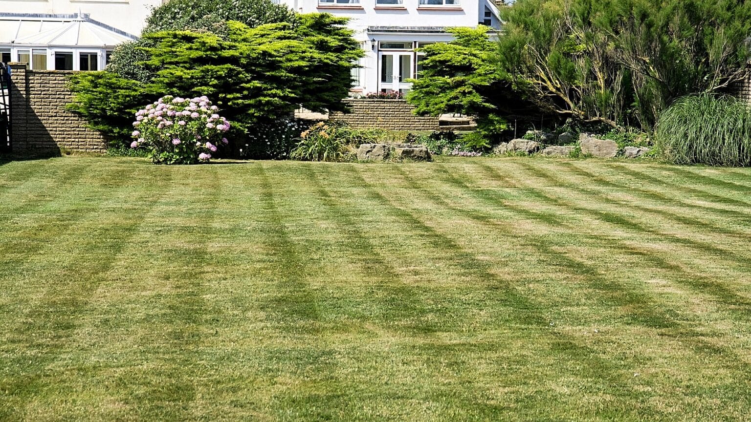 Prepare Soil For Sod Complete Guide From Ideal Rockaway!