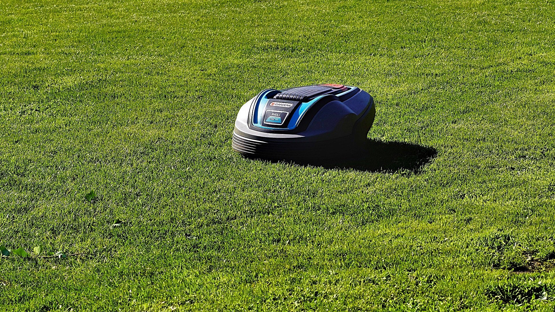 use-a-robot-mower-to-mow-new-sod-installation